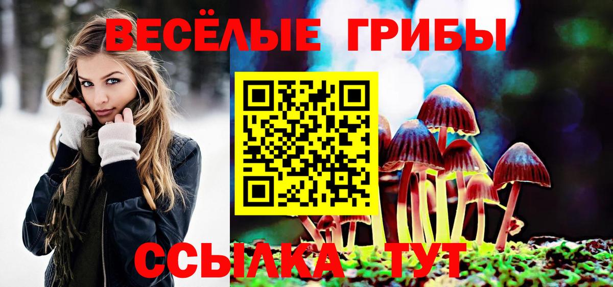 цены наркотик  Вход с VPN  Долгопрудный  Псилоцибиновые грибы MAGIC MUSHROOMS 